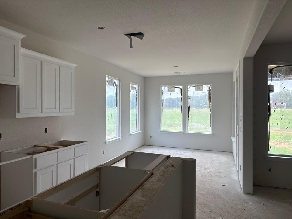 1224 Colca Drive Springtown, TX 76082 - Photo 4 of 8