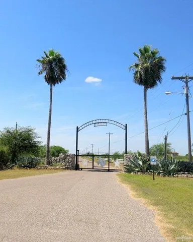 a palm tree sitting in front of a building with potted plants