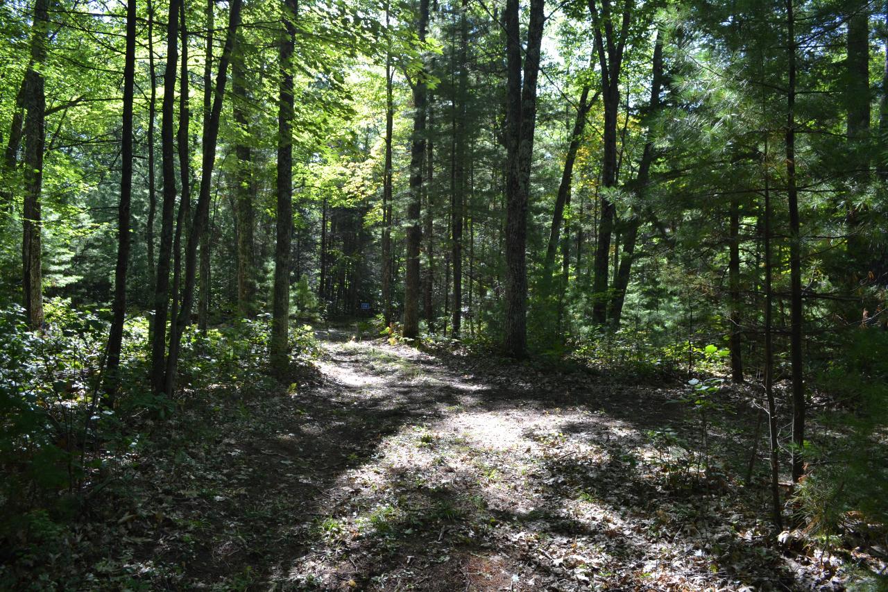 6347 Trails End Lane Rhinelander, WI 54501 - Photo 8 of 13 Gallery Image 8