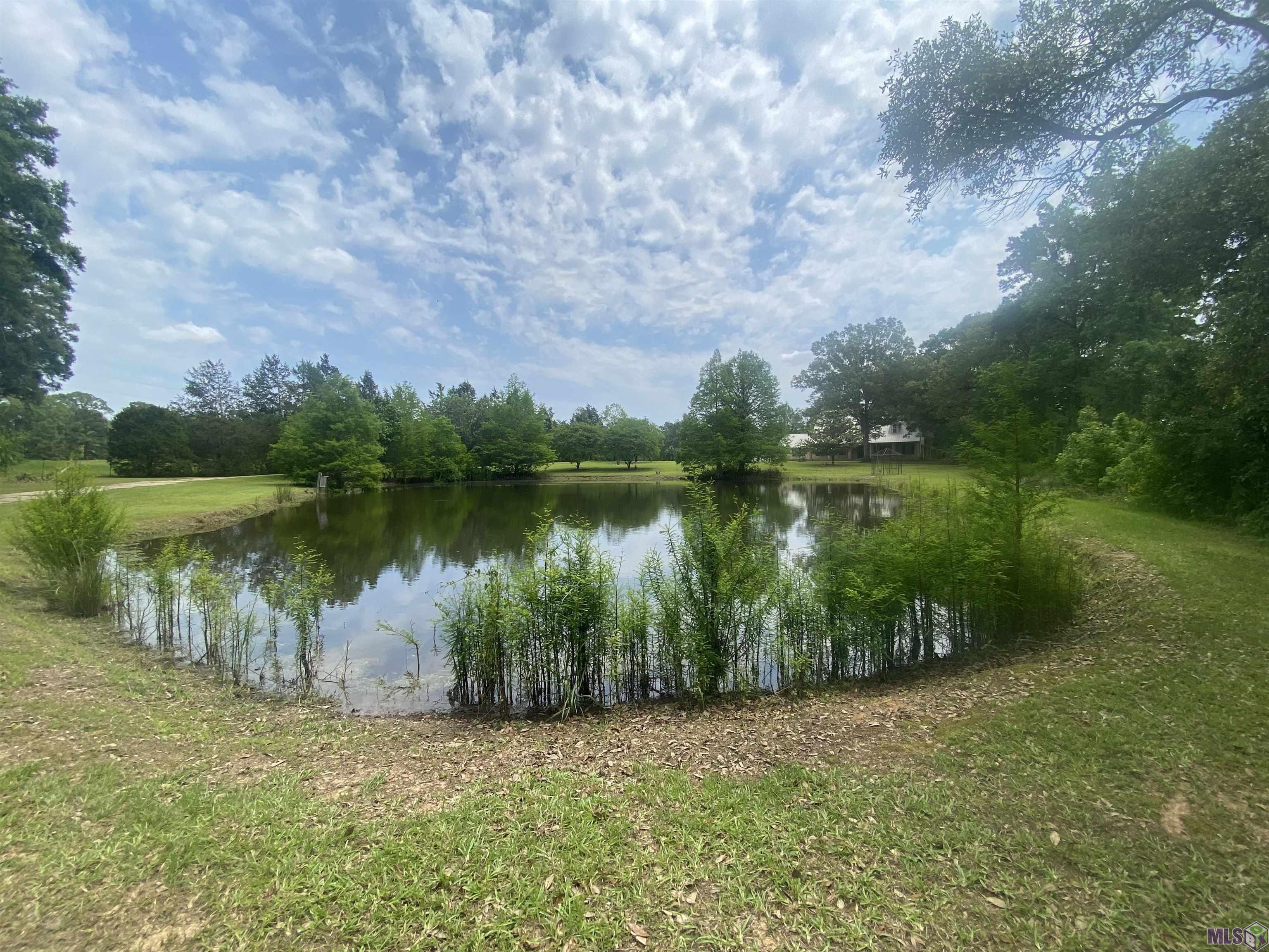 9465 Highway 68 Jackson, LA 70748 - Photo 4 of 41