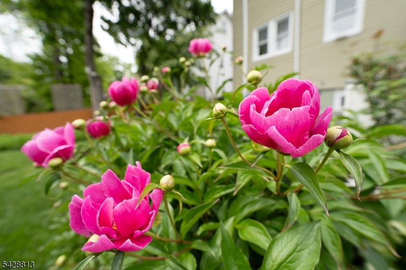 56 Woodside Road Maplewood, NJ 07040 - Photo 29 of 33