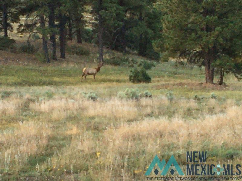 150 Forrest Service Road 124 Road Chamisal, NM 87521 - Photo 33 of 42 View of nature featuring rural landscape