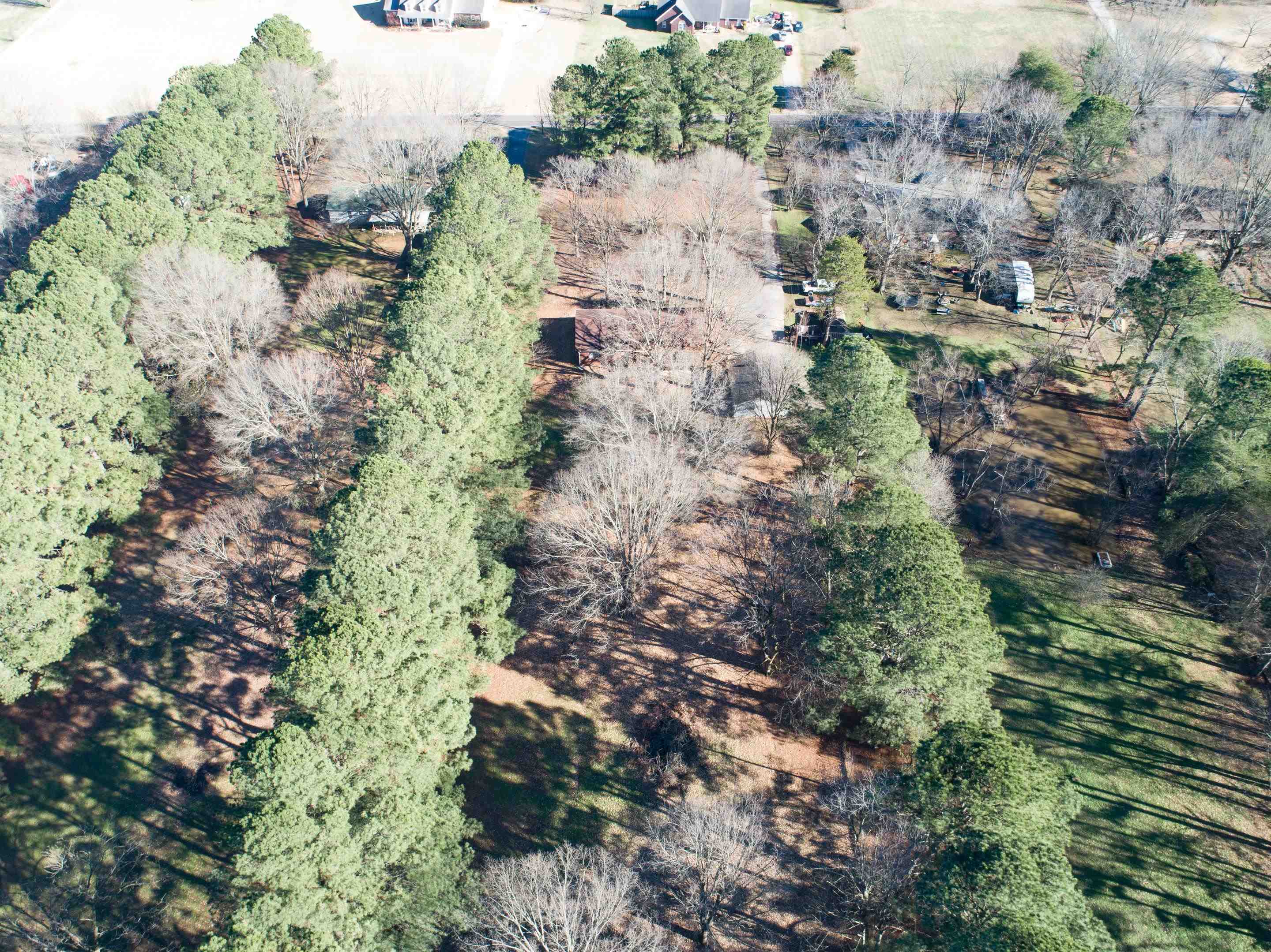 8055 Rankin Branch Road Millington, TN 38053 - Photo 3 of 25 Gallery Image 3