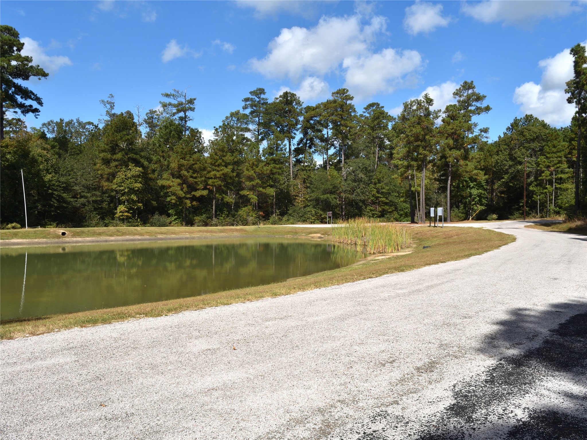 Tbd Copperleaf Road Huntsville, TX 77340 - Photo 14 of 24 a view of lake view