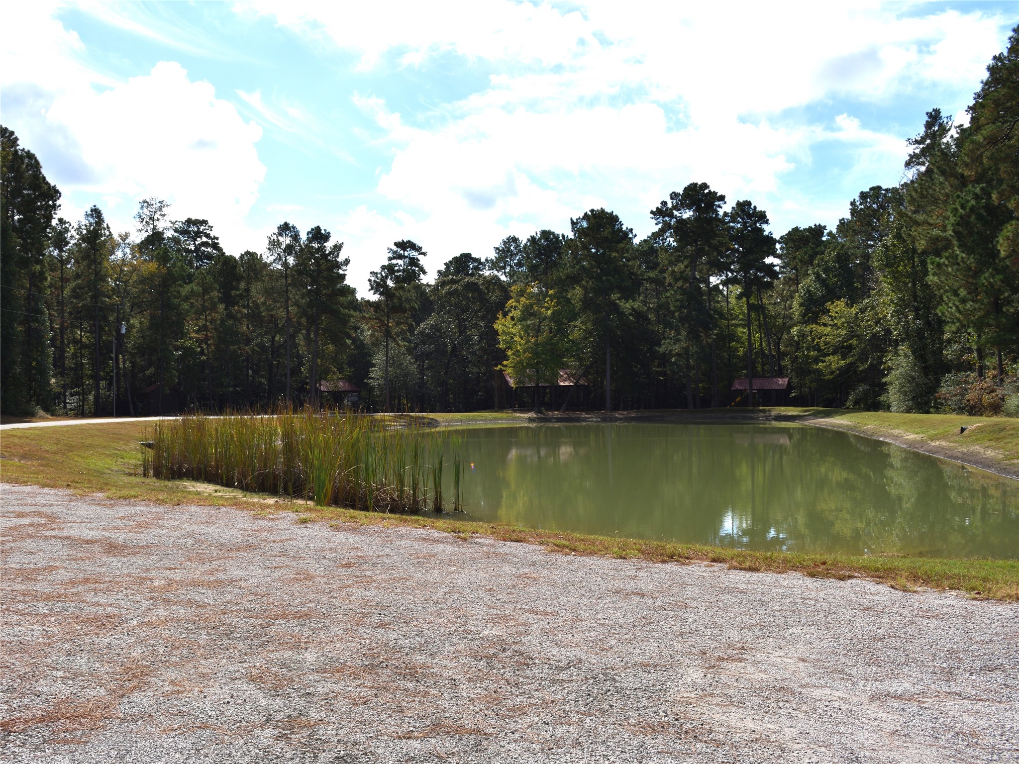 Tbd Copperleaf Road Huntsville, TX 77340 - Photo 19 of 24 a view of swimming pool with a yard