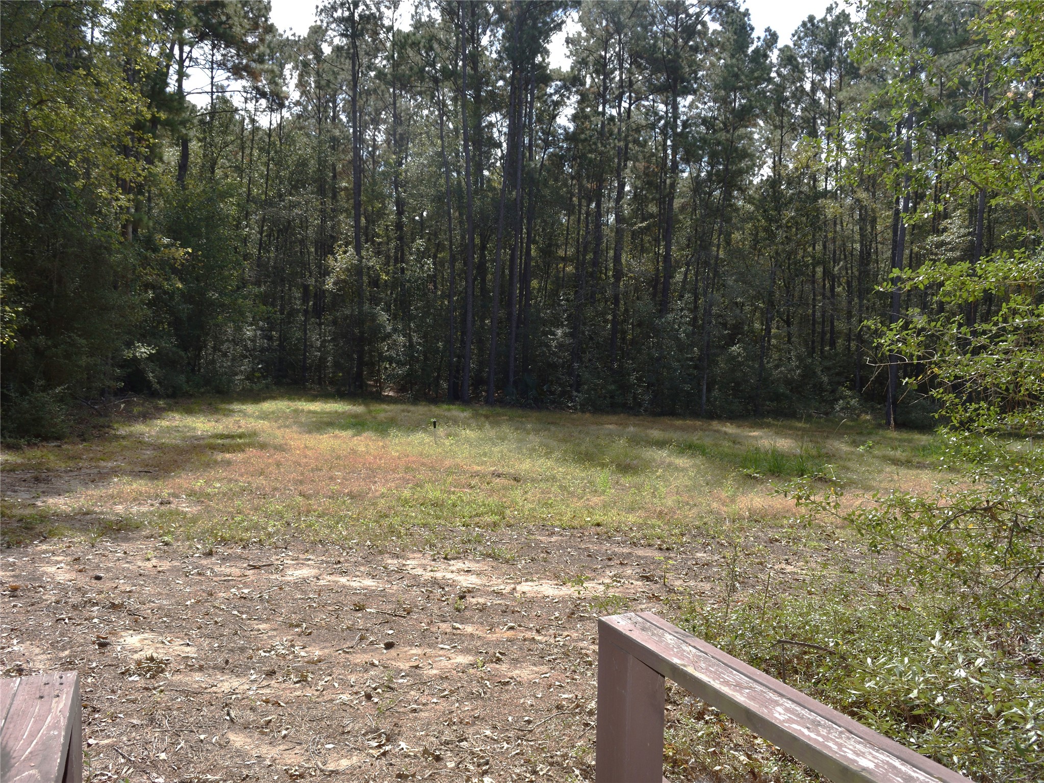 Tbd Copperleaf Road Huntsville, TX 77340 - Photo 20 of 24 a view of a yard with trees