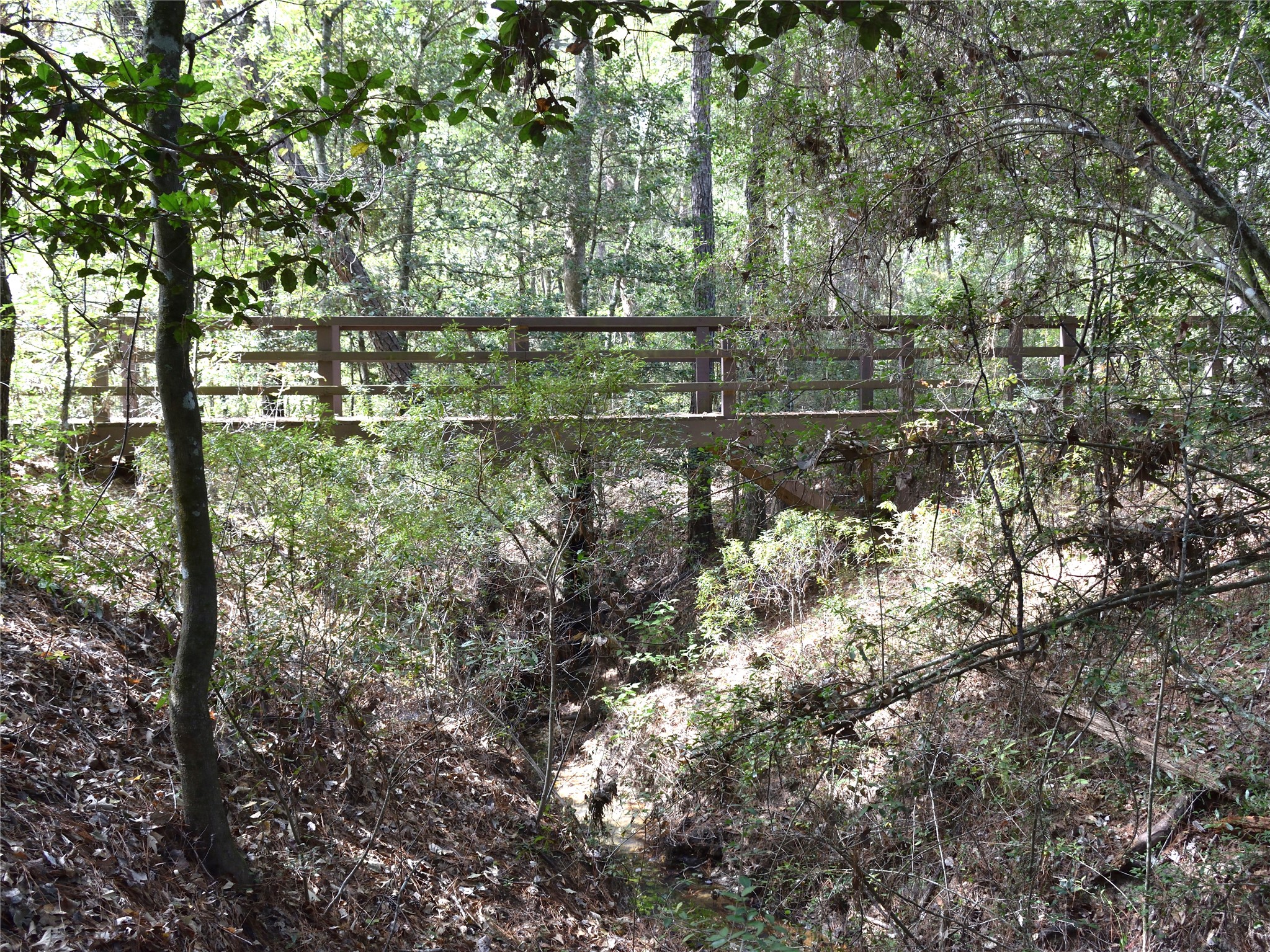 Tbd Copperleaf Road Huntsville, TX 77340 - Photo 23 of 24 a view of river covered with trees