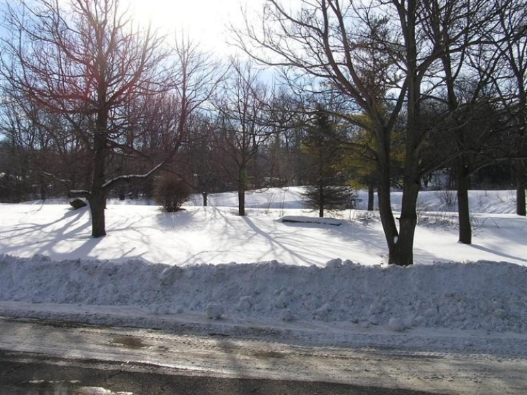 West Riverside Ionia, MI 48846 - Photo 1 of 1 Primary Photo