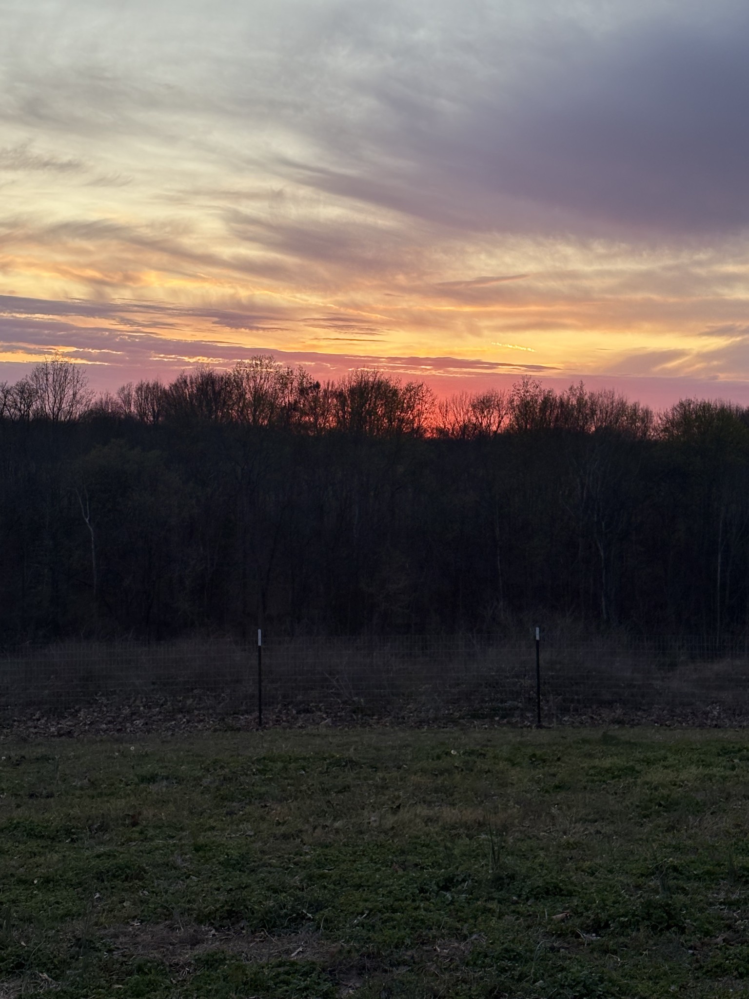 4884 Rock House Road Portland, TN 37148 - Photo 8 of 8 Gallery Image 8