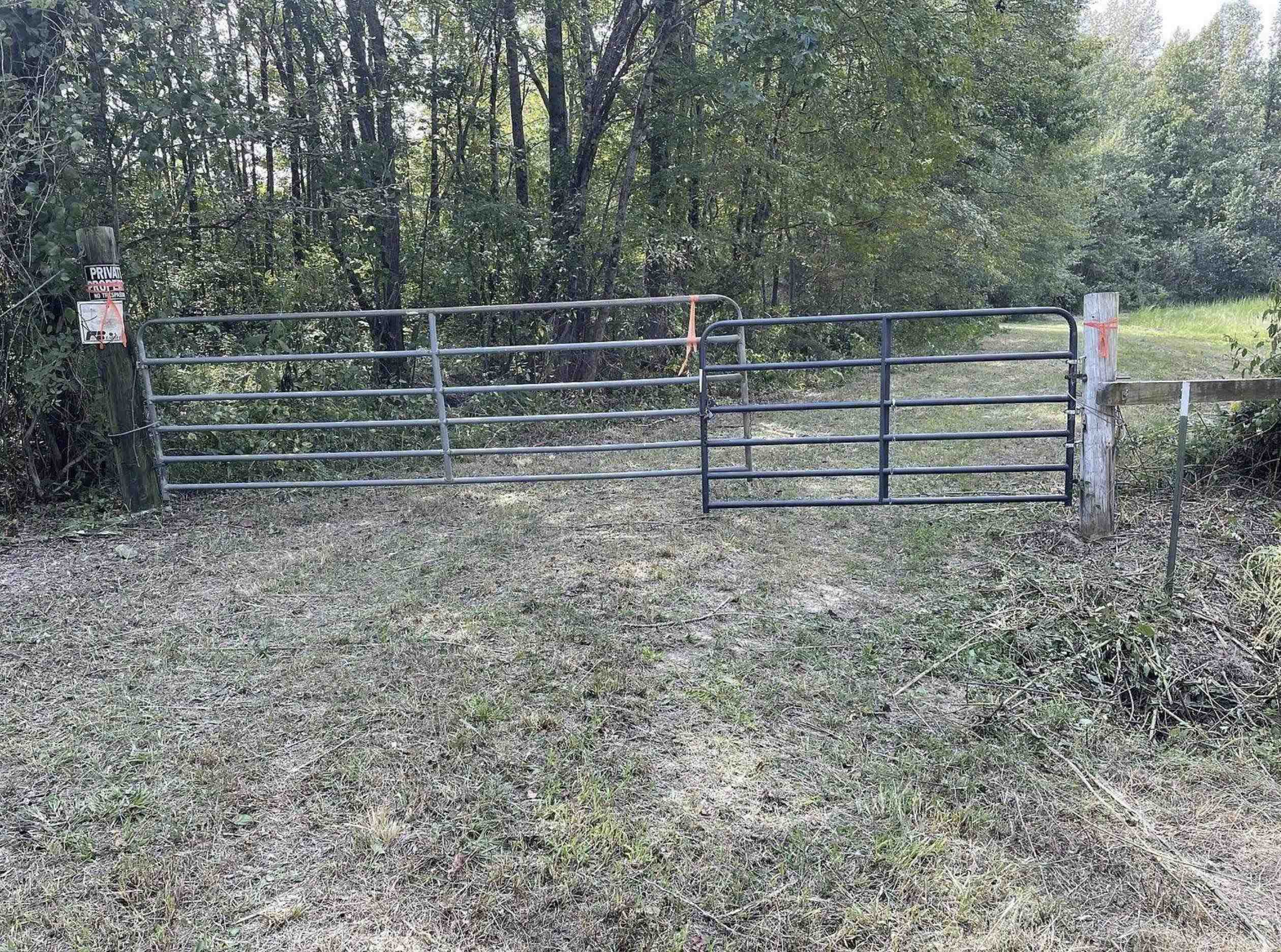 3085 Forrest Hill Road Bolivar, TN 38008 - Photo 4 of 4