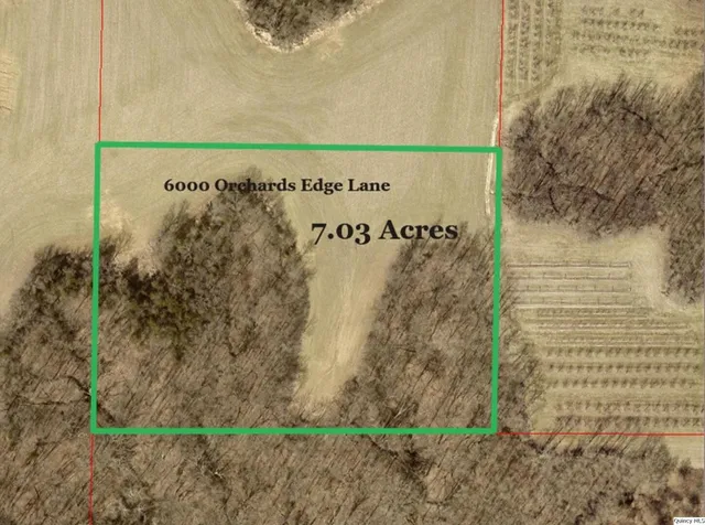 a view of a field with an ocean view