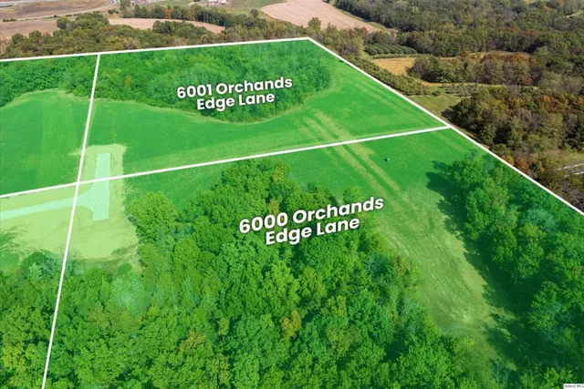 a view of a back yard