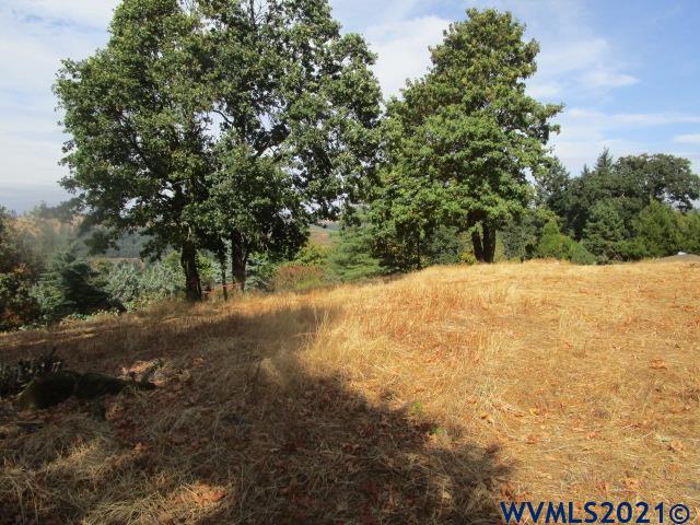 1066 Twin Hills Road Southeast Jefferson, OR 97352 - Photo 10 of 13