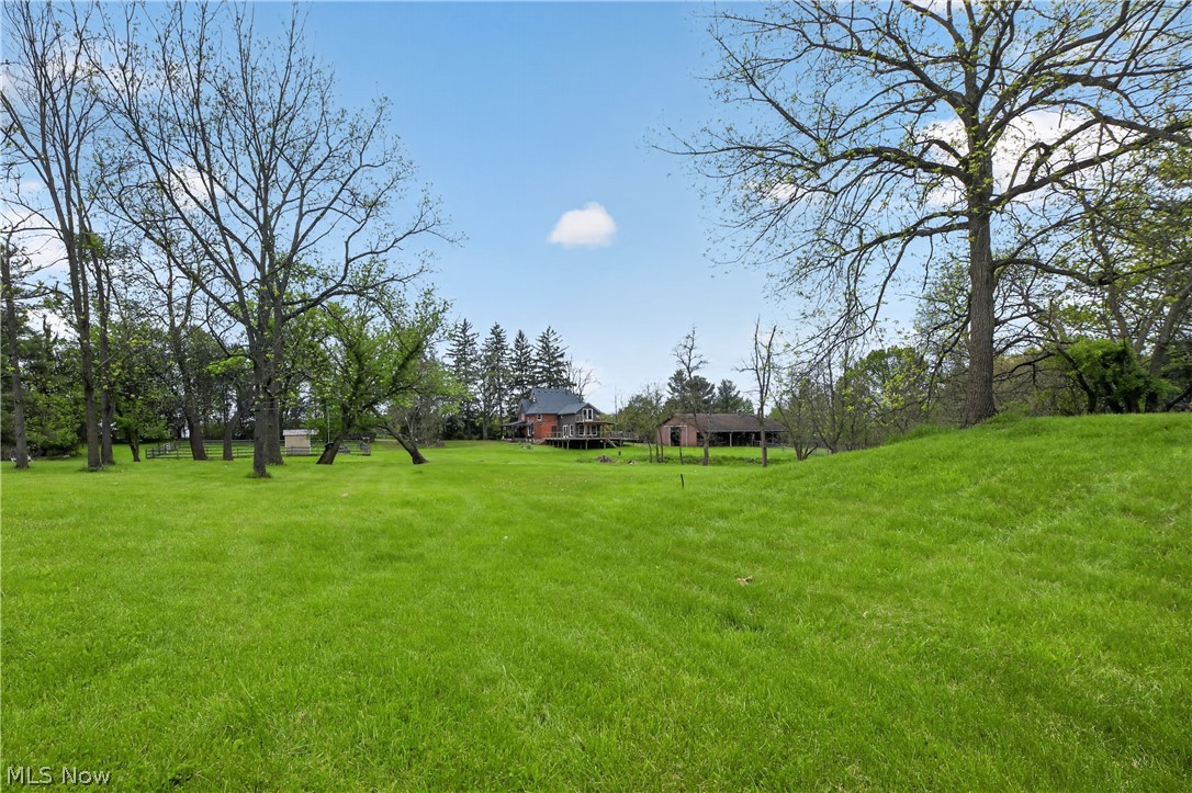 9509 Shaw Road Spencer, OH 44275 - Photo 43 of 48 rolling acreage