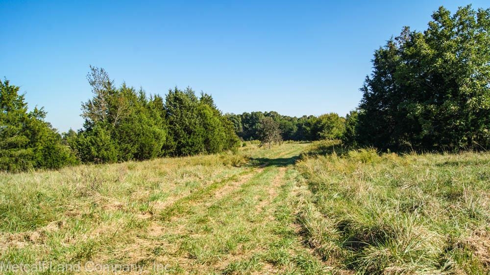 300 Piney Grove School Road Gray Court, SC 29645 - Photo 1 of 22 Gallery Image 1
