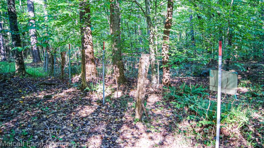 300 Piney Grove School Road Gray Court, SC 29645 - Photo 11 of 22 Gallery Image 11