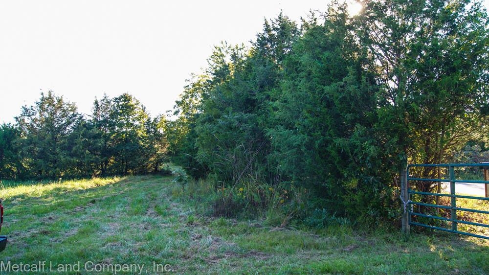 300 Piney Grove School Road Gray Court, SC 29645 - Photo 20 of 22 Gallery Image 20