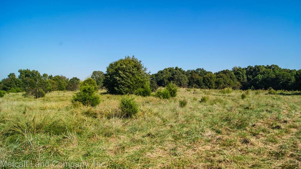 300 Piney Grove School Road Gray Court, SC 29645 - Photo 2 of 22 Gallery Image 2