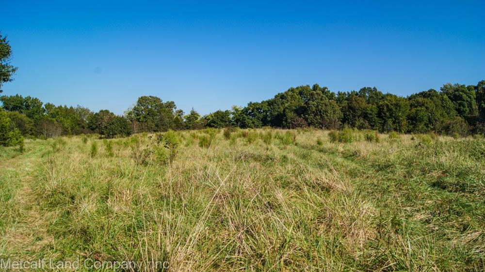 300 Piney Grove School Road Gray Court, SC 29645 - Photo 3 of 22 Gallery Image 3