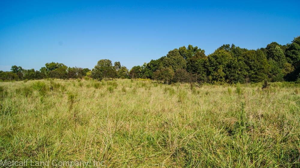 300 Piney Grove School Road Gray Court, SC 29645 - Photo 8 of 22 Gallery Image 8