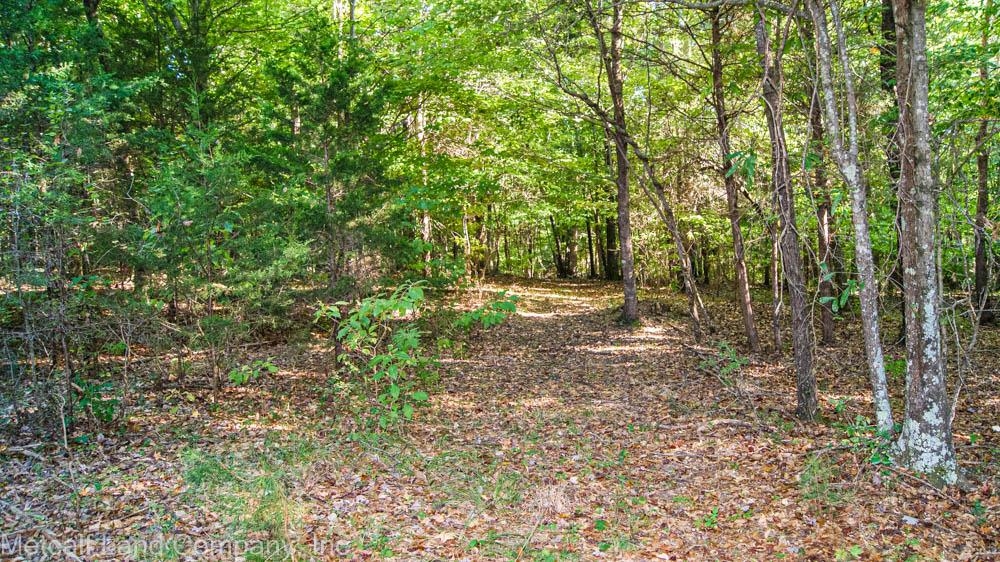 300 Piney Grove School Road Gray Court, SC 29645 - Photo 9 of 22 Gallery Image 9
