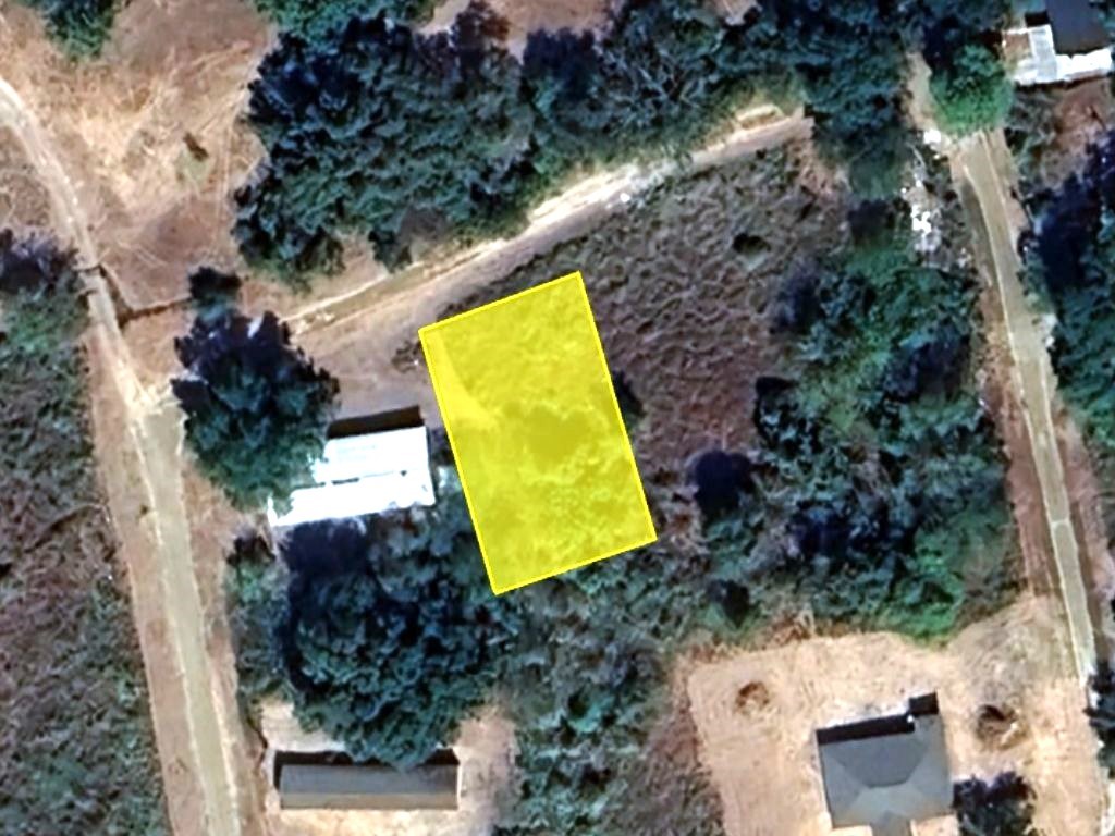 an aerial view of a house with swimming pool and large trees