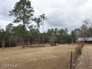 17225 Carnley Road Vancleave, MS 39565 - Photo 15 of 37 Property View