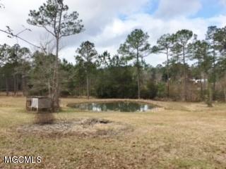 17225 Carnley Road Vancleave, MS 39565 - Photo 16 of 37 Pond