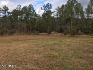 17225 Carnley Road Vancleave, MS 39565 - Photo 17 of 37 Property View