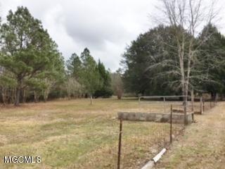 17225 Carnley Road Vancleave, MS 39565 - Photo 18 of 37 Property View