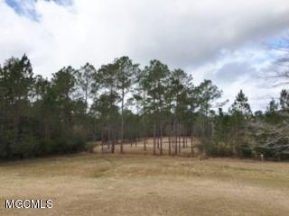 17225 Carnley Road Vancleave, MS 39565 - Photo 20 of 37 Property View