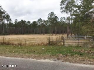 17225 Carnley Road Vancleave, MS 39565 - Photo 22 of 37 Street View