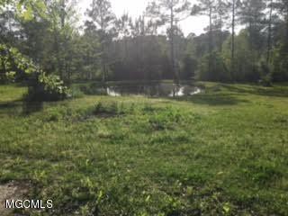 17225 Carnley Road Vancleave, MS 39565 - Photo 27 of 37 2