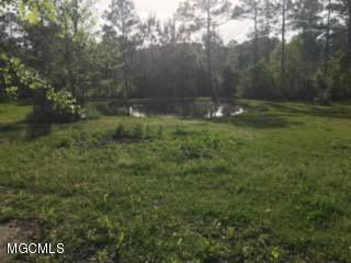 17225 Carnley Road Vancleave, MS 39565 - Photo 28 of 37 3