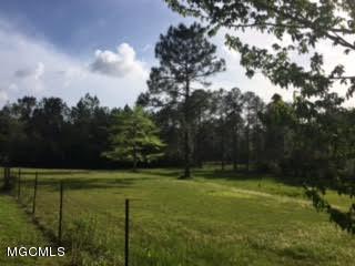 17225 Carnley Road Vancleave, MS 39565 - Photo 30 of 37 5