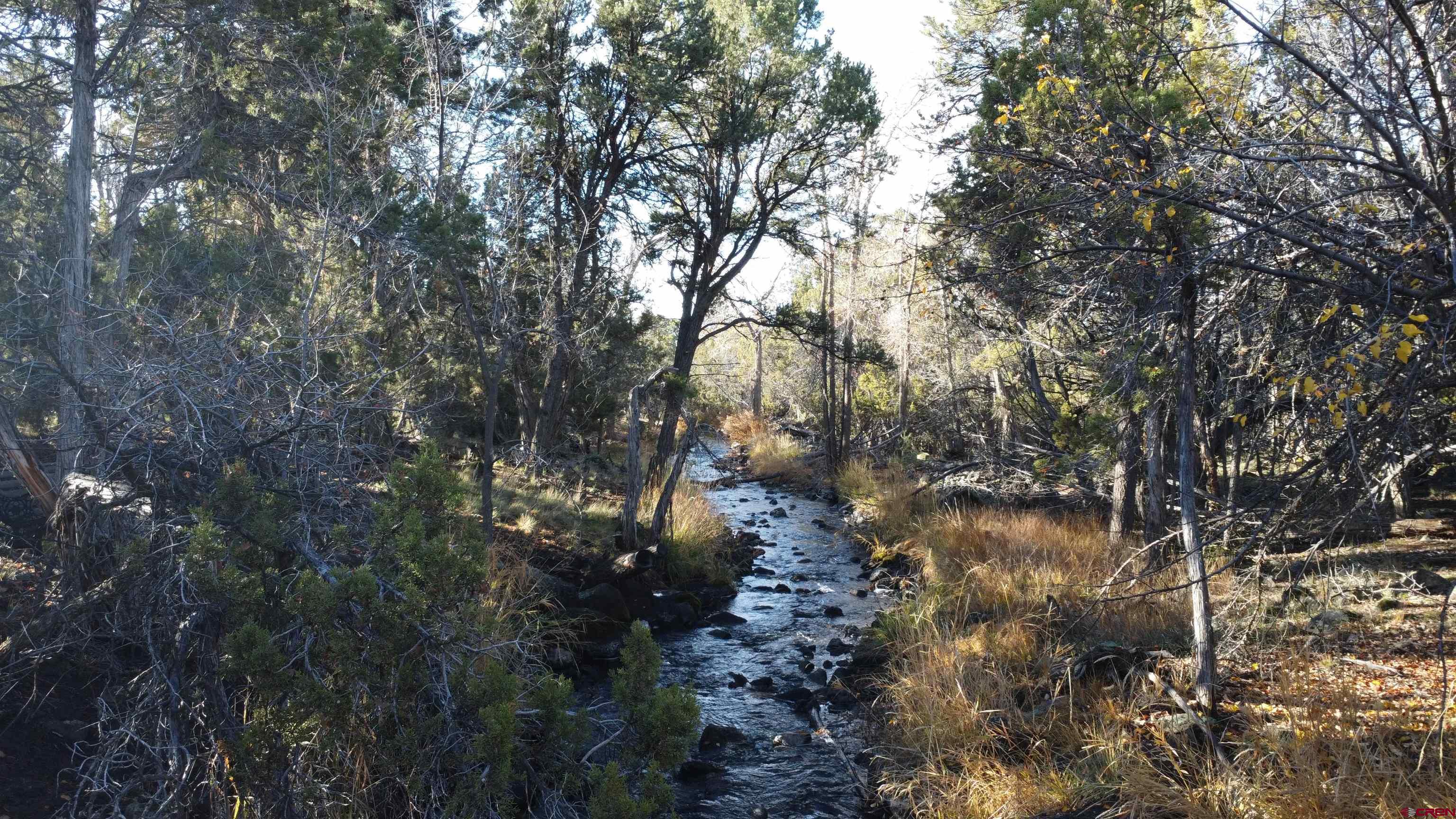 18865 Northridge Road Cedaredge, CO 81413 - Photo 6 of 23 a view of tree
