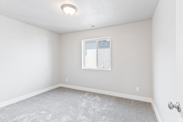 387 Slant Road, Unit 30 Spanish Fork, UT 84660 - Photo 25 of 25 Neutral-toned room featuring a single window, light gray carpeting, crisp white baseboards, and a flush-mount ceiling light fixture