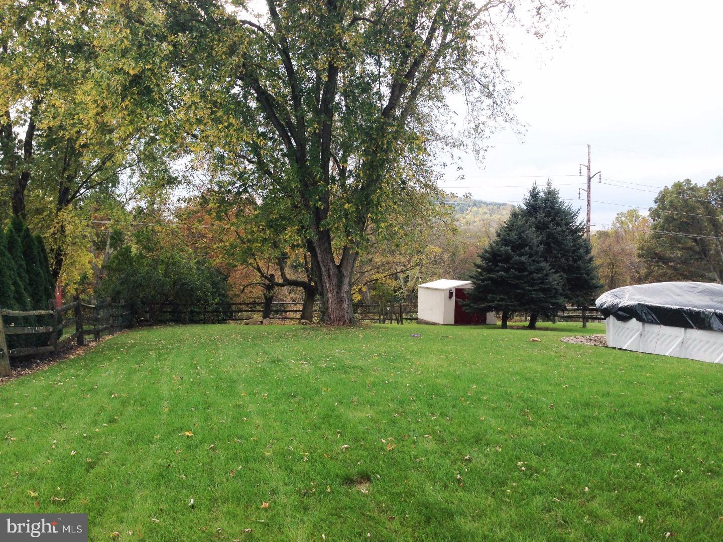 4736 Alisan Road Reading, PA 19606 - Photo 21 of 23 Back Yard