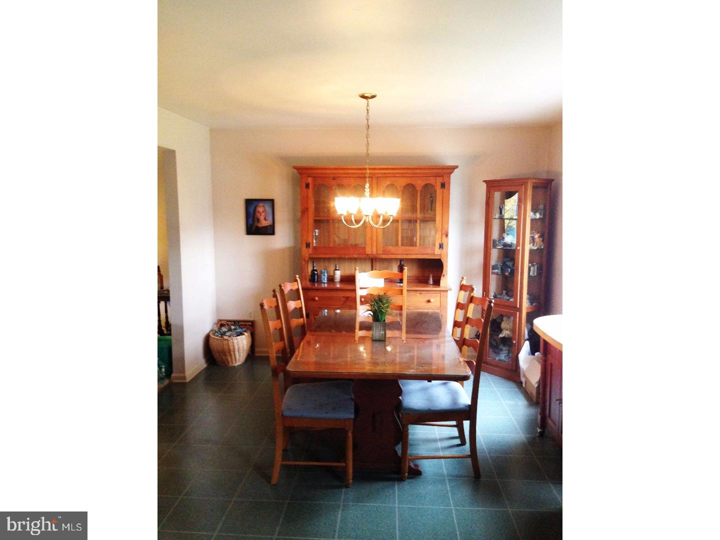 4736 Alisan Road Reading, PA 19606 - Photo 8 of 23 Dining Room