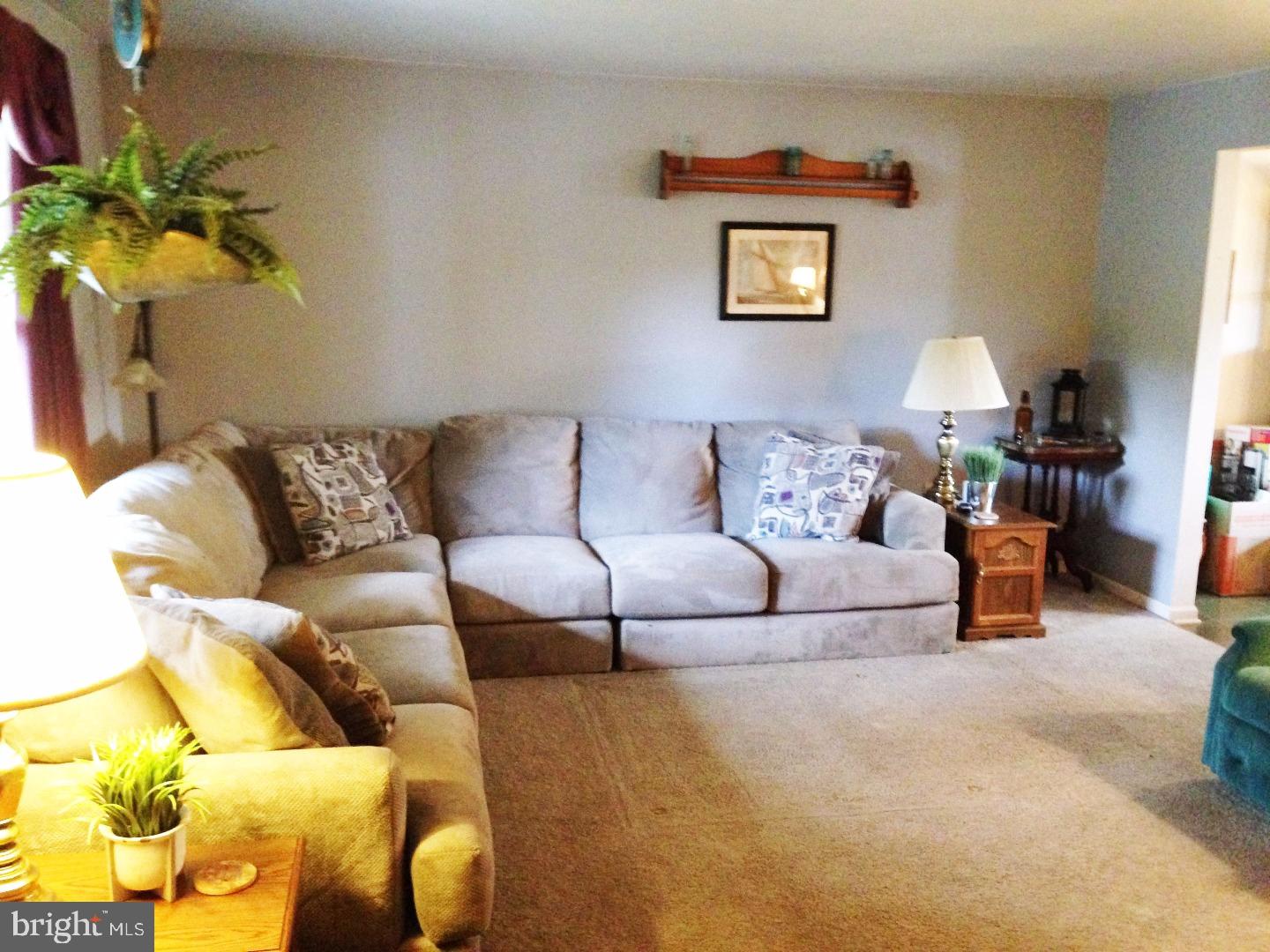 4736 Alisan Road Reading, PA 19606 - Photo 9 of 23 Living Room