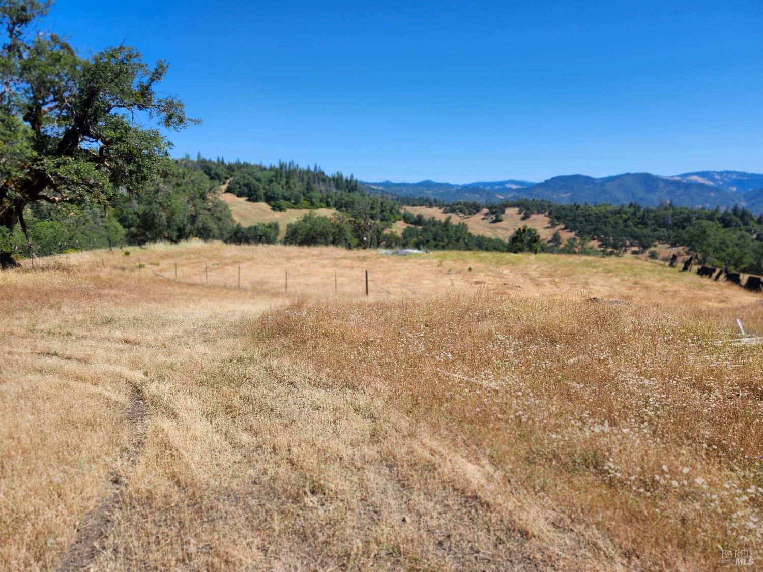 22551 Rifle Range Road Covelo, CA 95428 - Photo 10 of 24