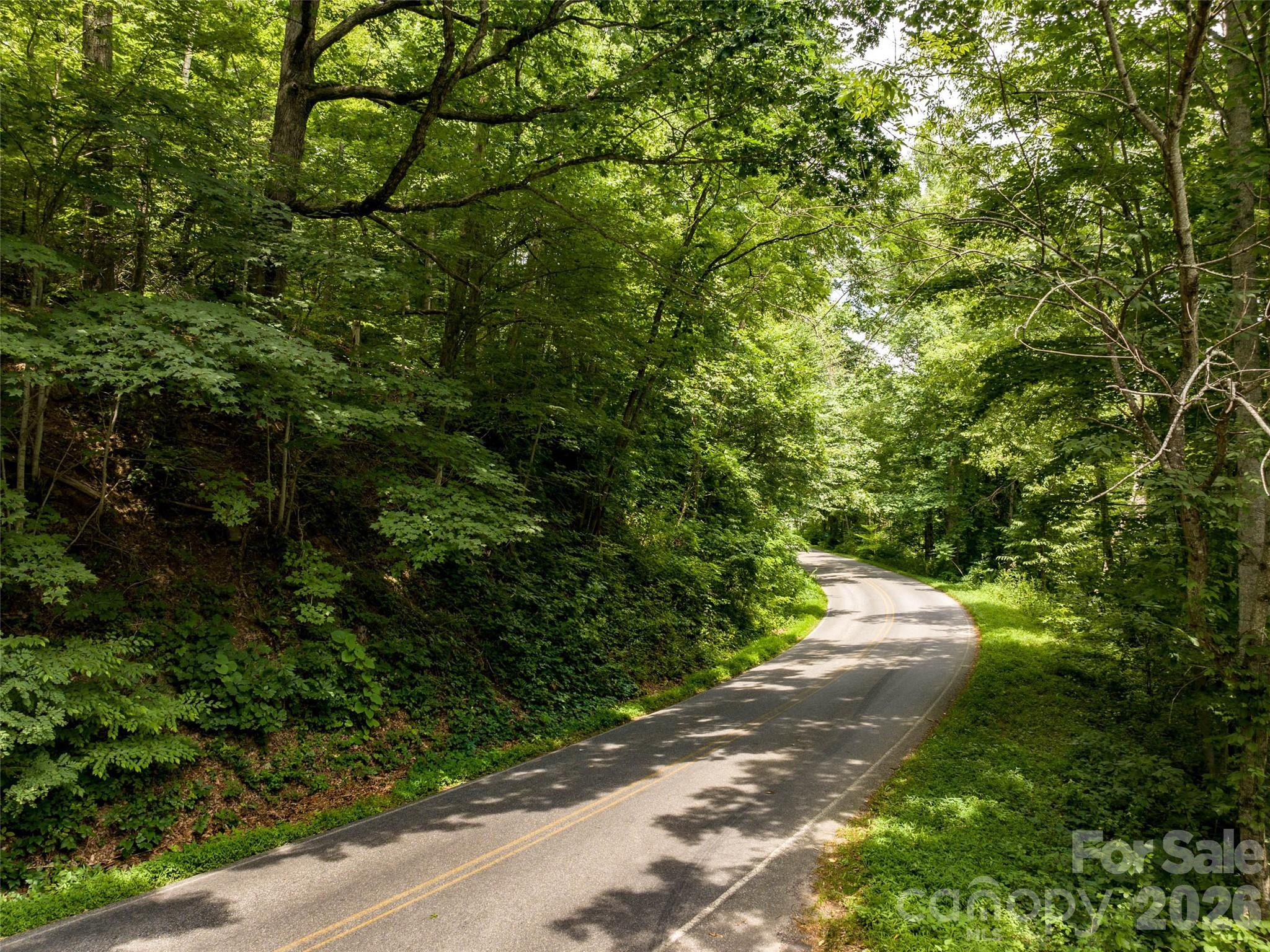 0 Lake Logan Road Canton, NC 28716 - Photo 12 of 22 a view of a street with a tree