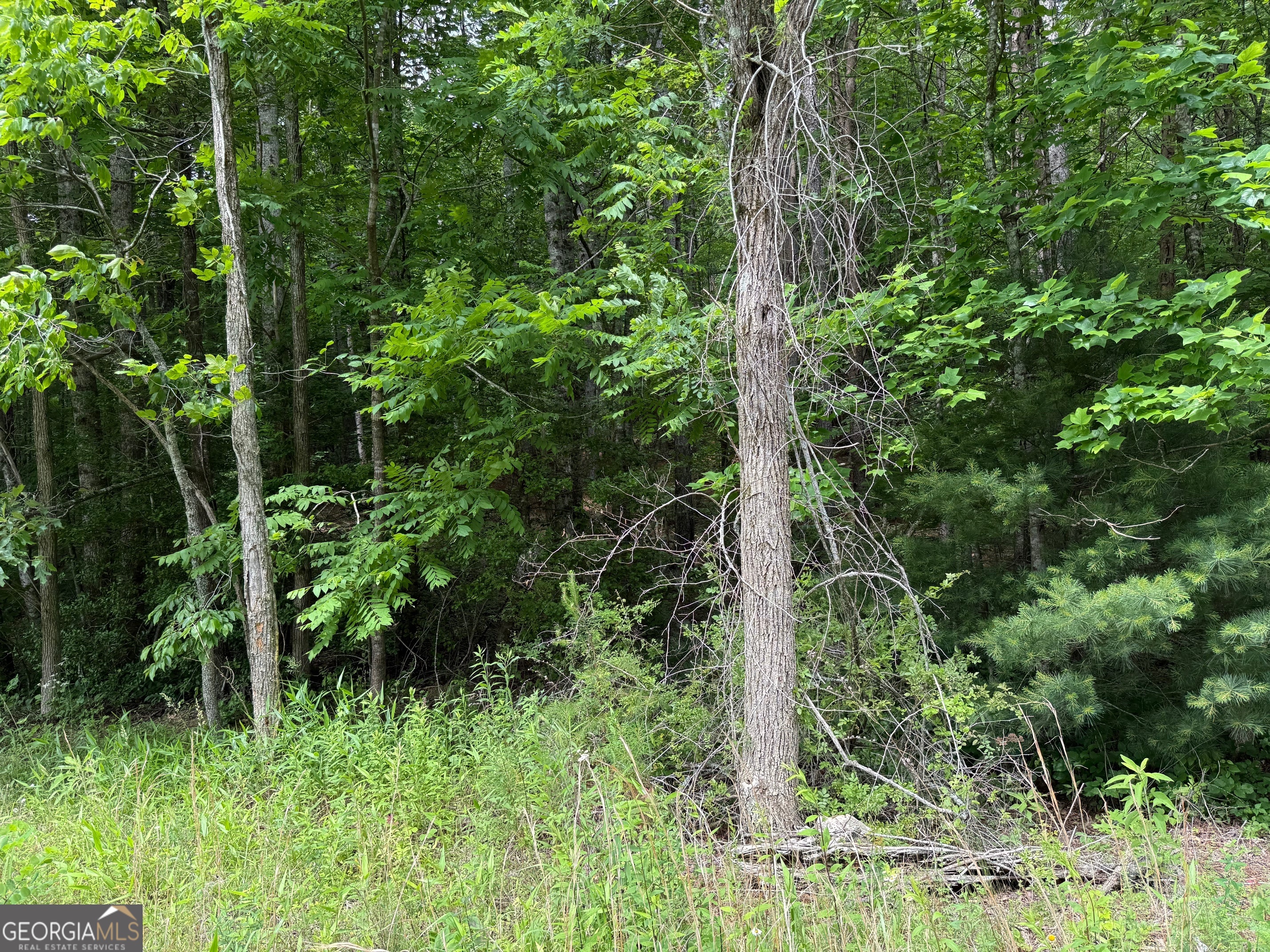 0 Mr Bert Road Hiawassee, GA 30546 - Photo 9 of 22