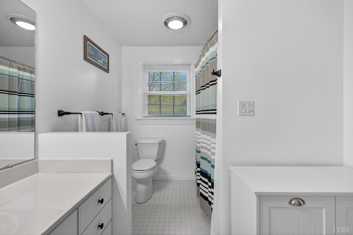 316 Quail Ridge Drive Forest, VA 24551 - Photo 17 of 35 a bathroom with a sink a toilet and shower