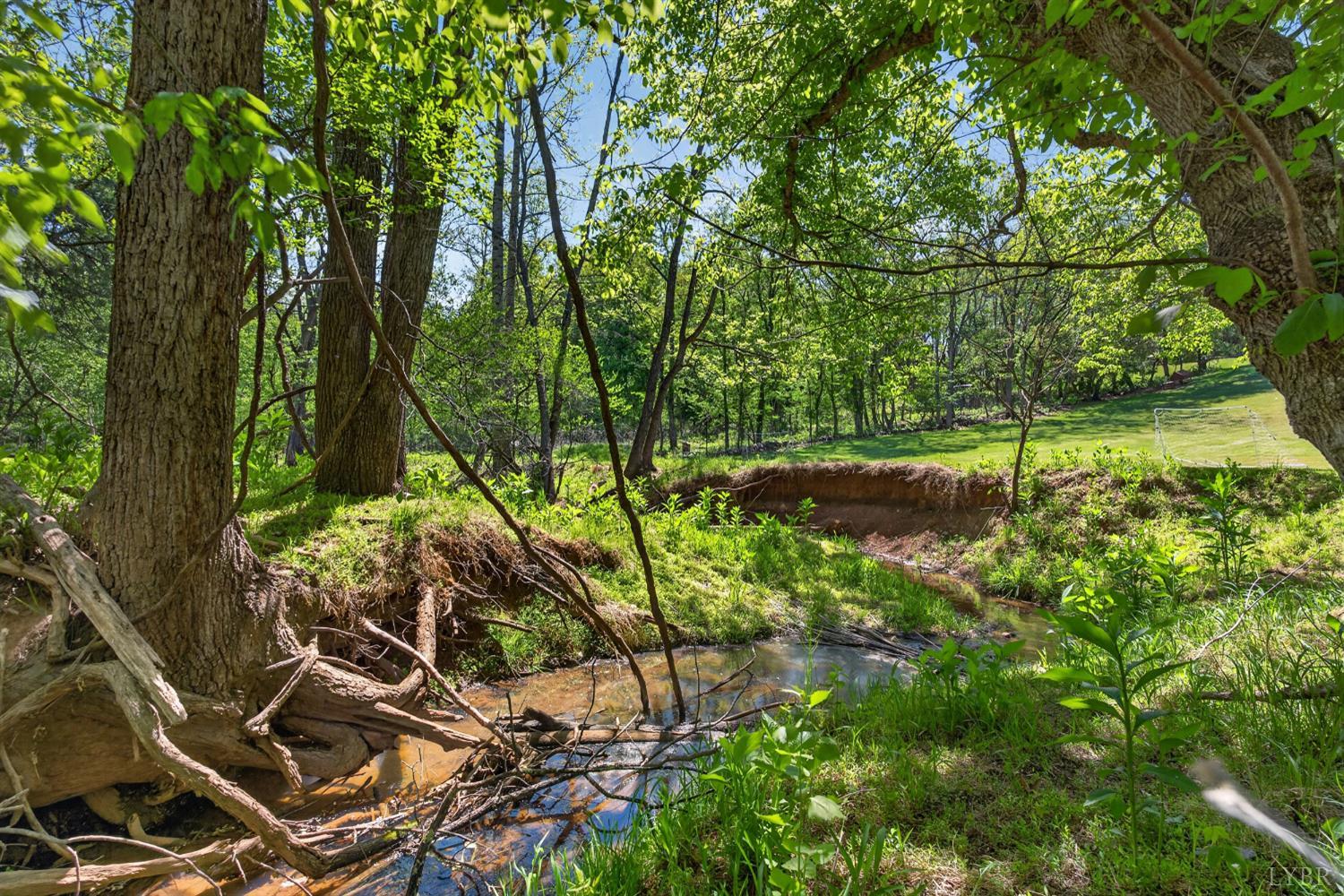 316 Quail Ridge Drive Forest, VA 24551 - Photo 29 of 35 a backyard of a house with lots of green space