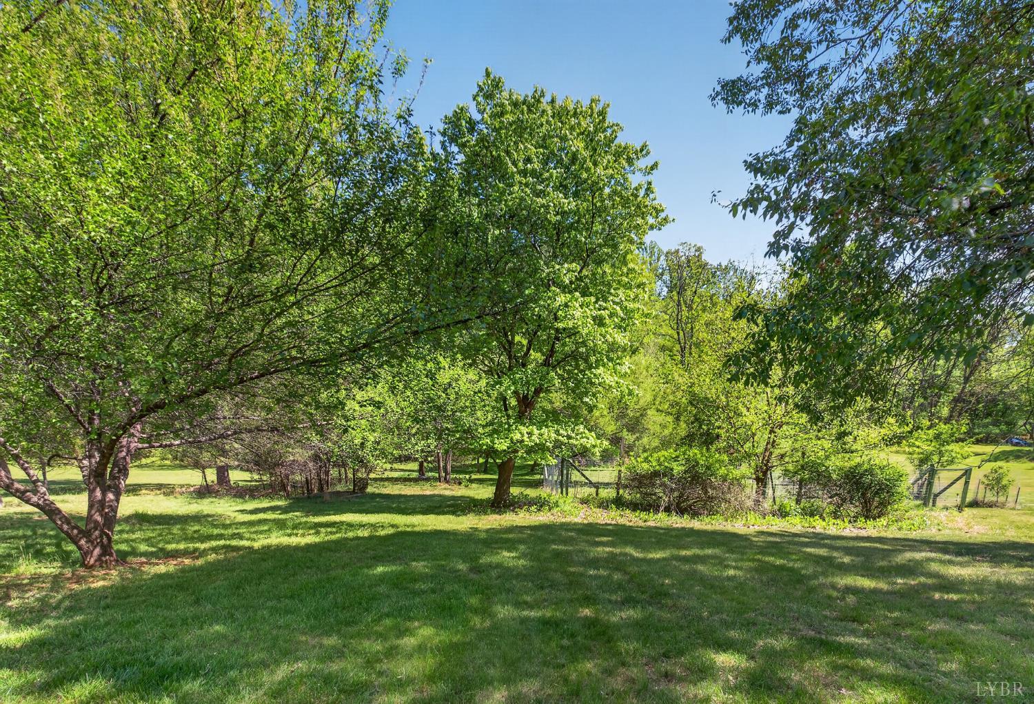 316 Quail Ridge Drive Forest, VA 24551 - Photo 30 of 35 a big yard with lots of green space and trees