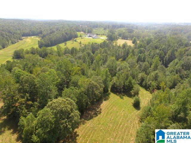2265 State Lake Road Lineville, AL 36266 - Photo 6 of 39