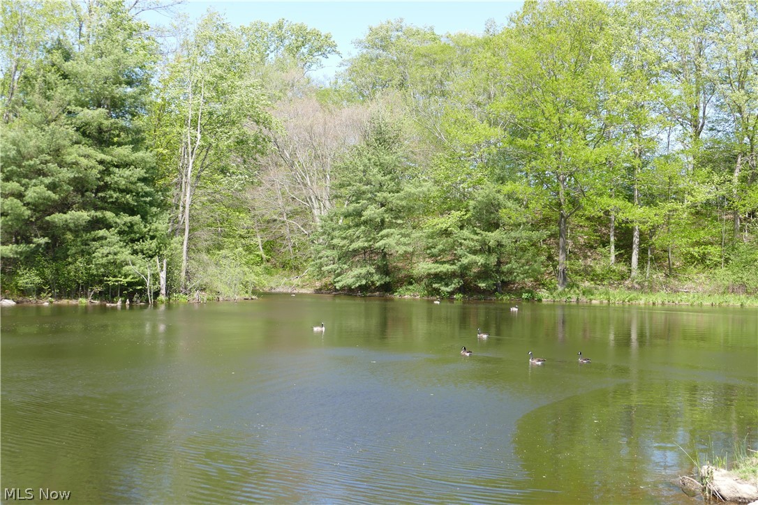 17340 Huntley Road Huntsburg, OH 44046 - Photo 7 of 24 View of water feature