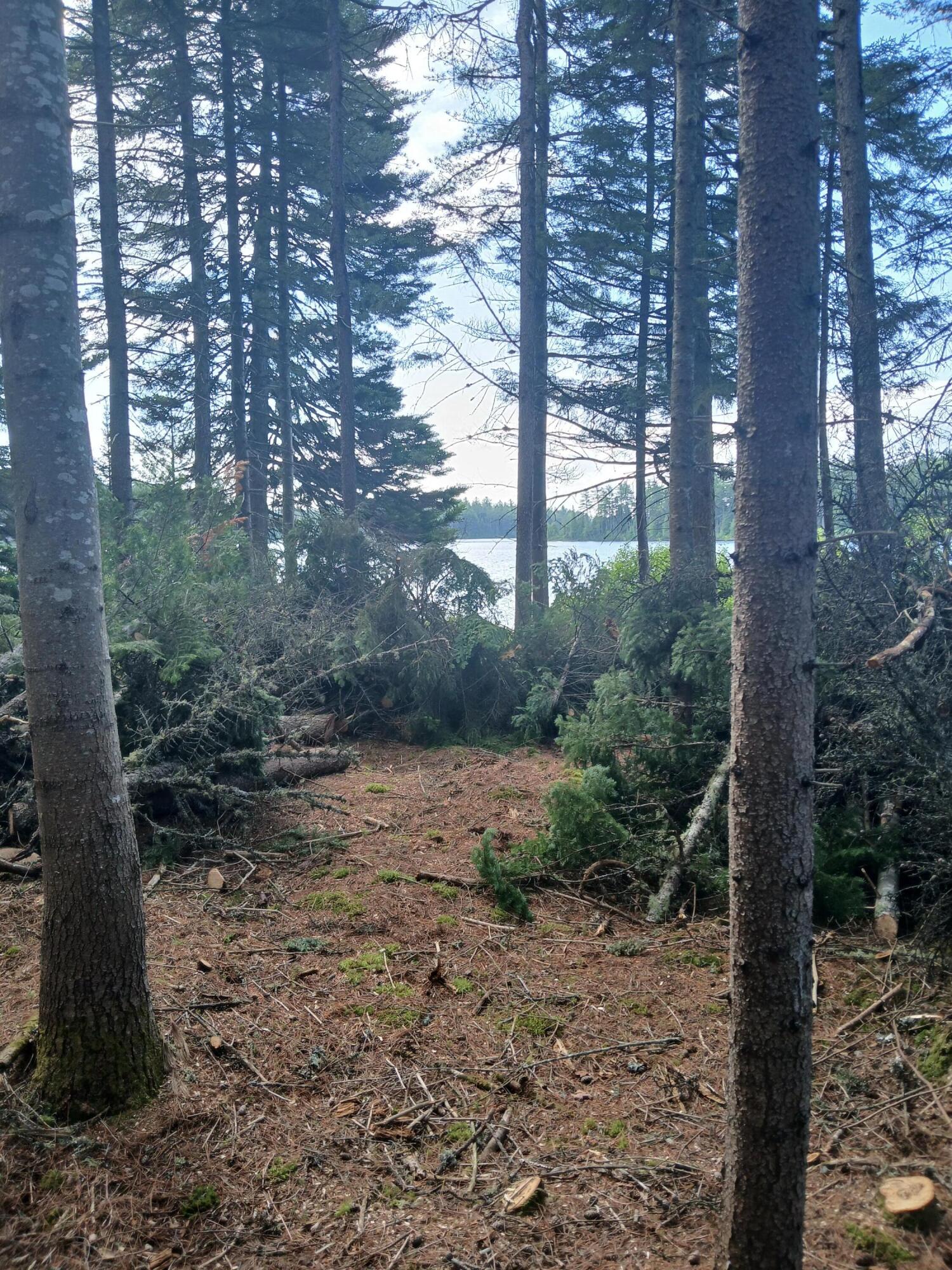 Lot # Lot#16.1 Middle Road Bingham, ME 04920 - Photo 3 of 6 Path