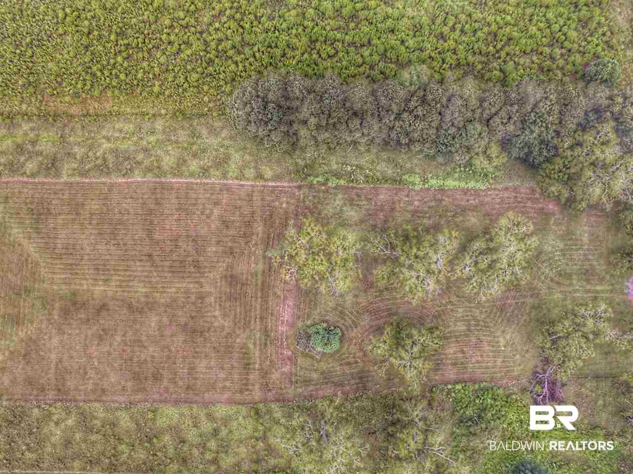 13183 Breman Road Elberta, AL 36530 - Photo 7 of 11